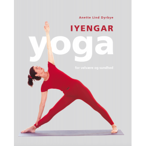 Iyengar Yoga